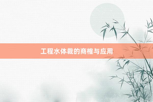 工程水体裁的商榷与应用