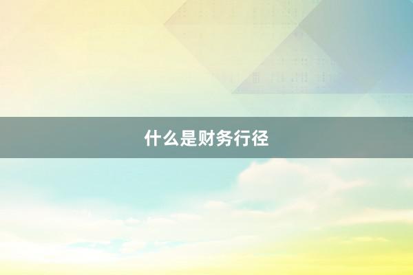 什么是财务行径