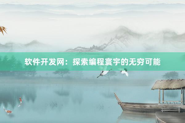 软件开发网：探索编程寰宇的无穷可能