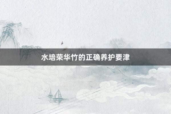 水培荣华竹的正确养护要津