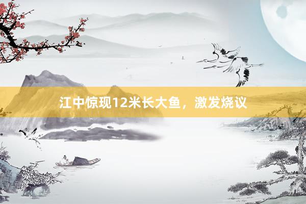 江中惊现12米长大鱼，激发烧议